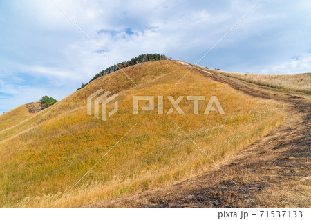 亀山への登山道(曽爾高原) 亀山への登山道(曽爾高原) 71537133