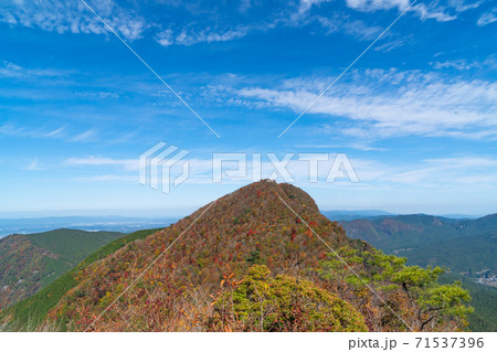 二本ボソから見た倶留尊山(曽爾高原) 二本ボソから見た倶留尊山(曽爾高原) 71537396