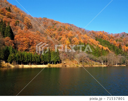中綱湖 紅葉 中綱湖 紅葉 71537801