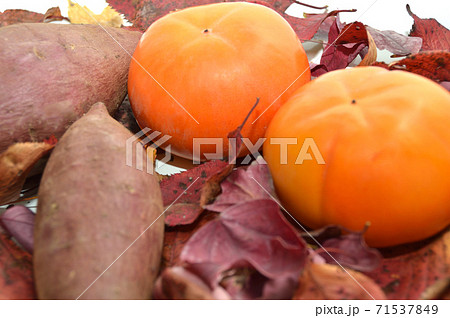 落ち葉を背景に柿とサツマイモ・秋イメージ 71537849