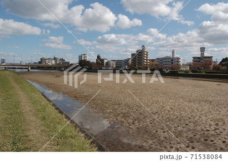 干潮時に川底が見える 室見川 の写真素材