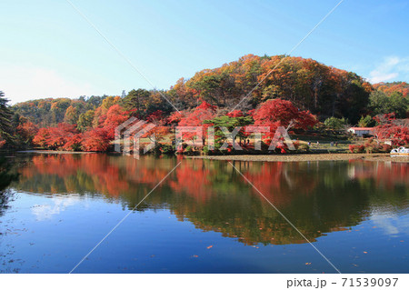 モミジ・秋の蛇の鼻遊楽園(福島県・本宮市) モミジ・秋の蛇の鼻遊楽園(福島県・本宮市) 71539097