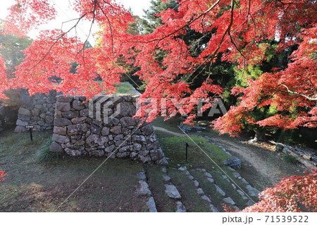 奈良県 高取城の紅葉 奈良県 高取城の紅葉 71539522