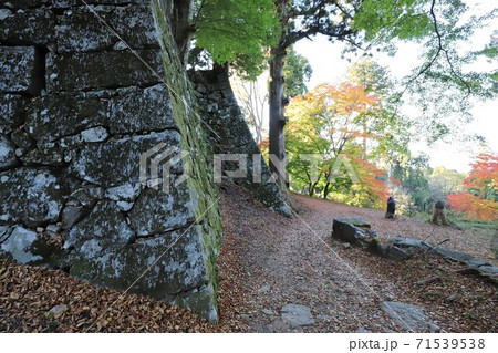 奈良県　高取城の紅葉 71539538