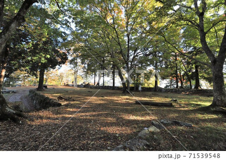 奈良県　高取城の紅葉 71539548