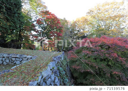 奈良県　高取城の紅葉 71539576