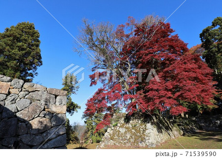 奈良県 高取城の紅葉 奈良県 高取城の紅葉 71539590