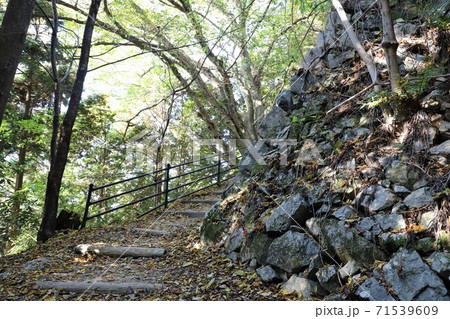 奈良県　高取城の紅葉 71539609