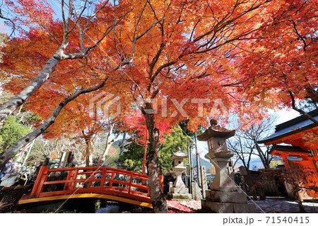 天川村　龍泉寺の紅葉 71540415