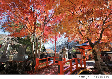 天川村 龍泉寺の紅葉 天川村 龍泉寺の紅葉 71540419