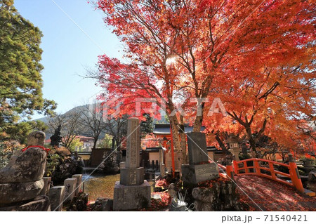 天川村 龍泉寺の紅葉 天川村 龍泉寺の紅葉 71540421