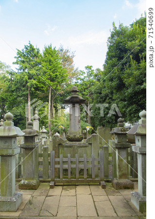 豪徳寺 大老 井伊直弼の墓 豪徳寺 大老 井伊直弼の墓 71540699