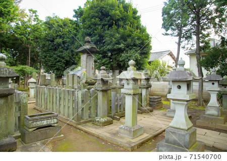 豪徳寺 大老 井伊直弼の墓 豪徳寺 大老 井伊直弼の墓 71540700