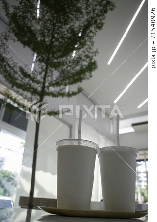 Indoor plant of bright living room Indoor plant of bright living room 71540926