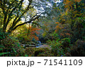 菊池渓谷 71541109