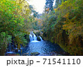 菊池渓谷 71541110