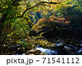 菊池渓谷 71541112