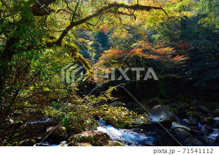 菊池渓谷 71541112