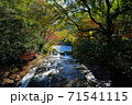 菊池渓谷 71541115