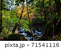 菊池渓谷 71541116
