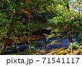 菊池渓谷 71541117