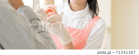 歯磨き指導をする女性 歯磨き指導をする女性 71541167