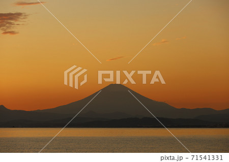 夕方の湘南の海から臨む富士山 71541331