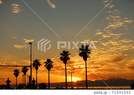 湘南江ノ島のヤシの木に夕日が沈む景色の写真素材 71541333 Pixta