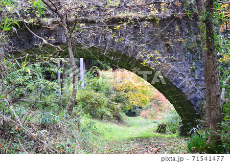 明正井路の紅葉 71541477