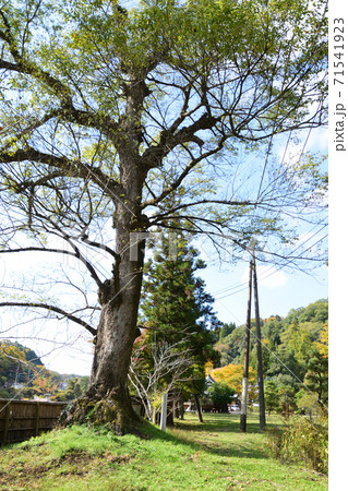 岡藩主おたまや公園 71541923