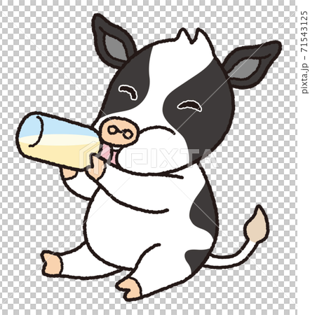 ミルクを飲む子牛のイラスト素材