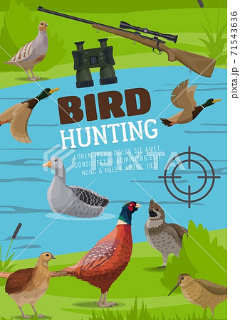 Water and upland birds hunting vector poster 71543636