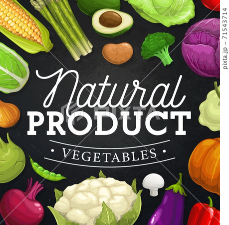 Farm vegetables frame border on chalkboard 71543714