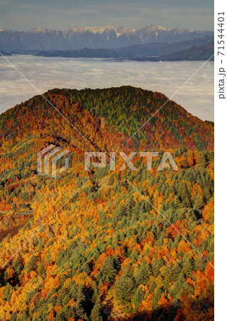 山田牧場周辺の紅葉 山田牧場周辺の紅葉 71544401