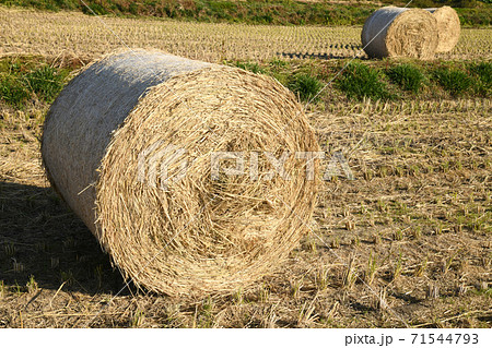 稲藁ロール 稲藁ロール 71544793