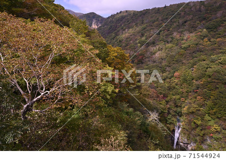 那須　駒止の滝 71544924
