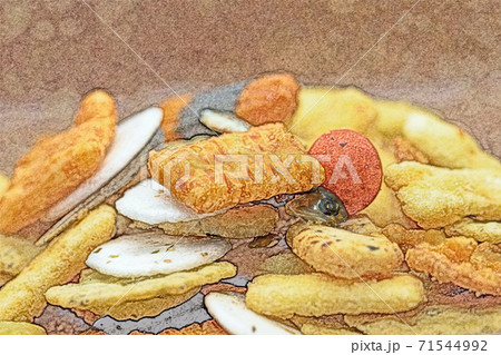 素朴なおつまみ「おかき」色鉛筆画風 素朴なおつまみ「おかき」色鉛筆画風 71544992