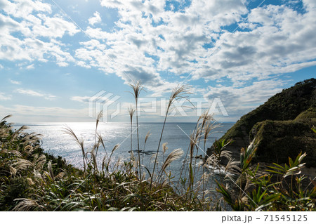 (千葉県-風景)鵜原理想郷のひとつやまと太平洋4 71545125