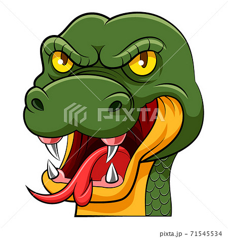 The big head of green snake with the long tongue and yellow eyes 71545534