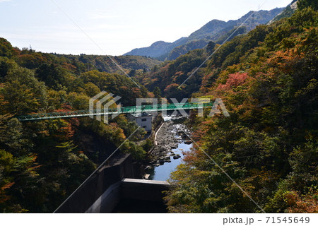 塩原の紅葉　　＃63 71545649