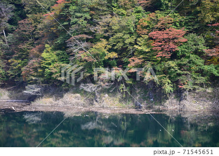 塩原の紅葉  #61 塩原の紅葉  #61 71545651