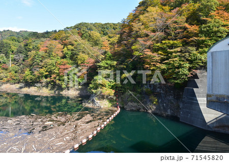 塩原の紅葉　　＃74 71545820