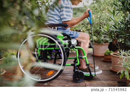 Unrecognizable senior man in wheelchair doing exercise on terrace. Unrecognizable senior man in wheelchair doing exercise on terrace. 71545982