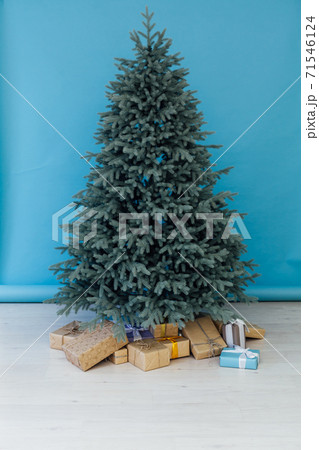 Christmas tree blue pine with gifts interior new year Christmas tree blue pine with gifts interior new year 71546124