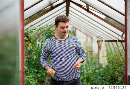 Down syndrome adult man walking in greenhouse, gardening concept. 71546125
