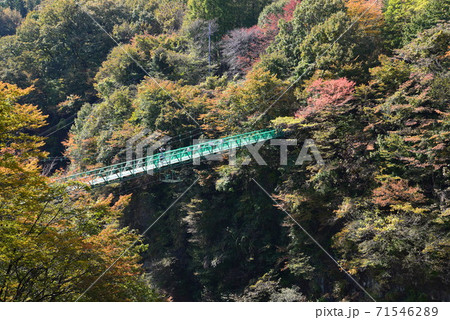 塩原の紅葉　　＃88 71546289