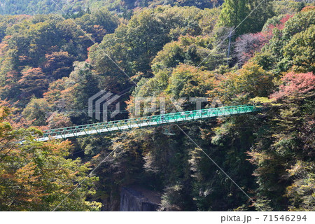 塩原の紅葉　　＃83 71546294