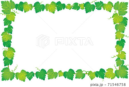 緑のフレームのイラスト素材 [71546758] - PIXTA