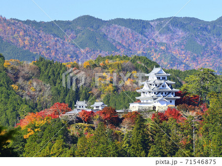 秋の郡上八幡城 秋の郡上八幡城 71546875