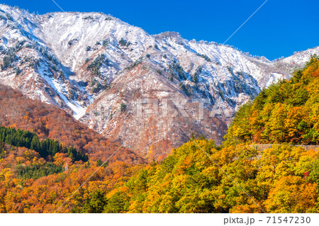 岐阜県 秋の白川郷 紅葉の合掌造り集落の写真素材